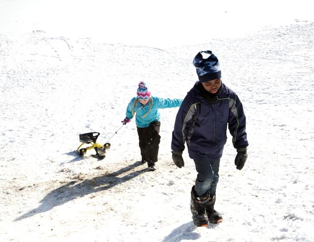 Toboggan